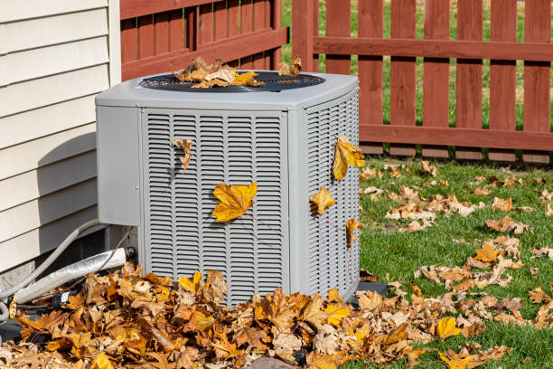 Best Heating Repair Services  in Lake Mary Jane, FL